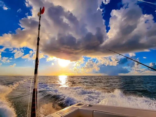 How to Enjoy Jacksonville, Florida, Fishing Trips